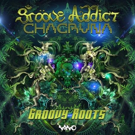 Groovy Roots (Original Mix) ft. Chacruna | Boomplay Music