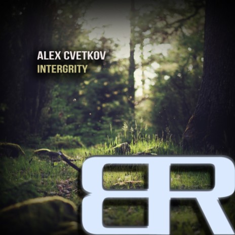 Integrity (Original Mix) | Boomplay Music