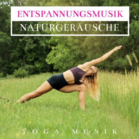 Universelle Harmonie ft. Meditationsmusik Knstler | Boomplay Music