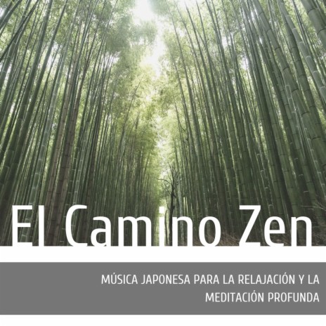 El Camino Zen ft. Meditación Guiada