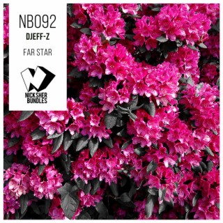 Djeff-Z
