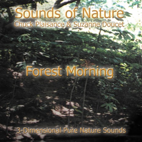 Forest Morning ft. Chuck Plaisance | Boomplay Music