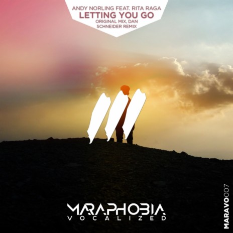 Letting You Go (Dan Schneider Remix) ft. Rita Raga | Boomplay Music
