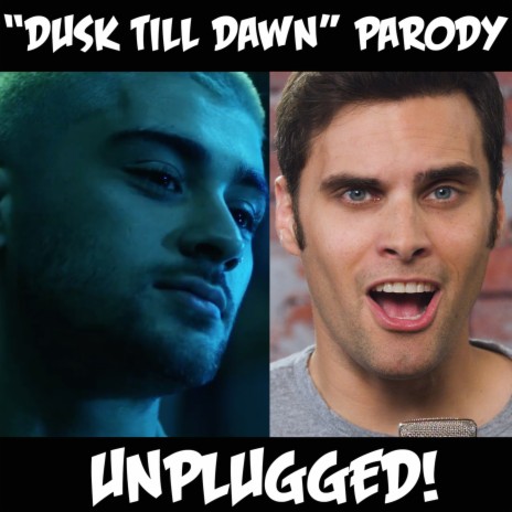 "Dusk Till Dawn" Parody - Unplugged