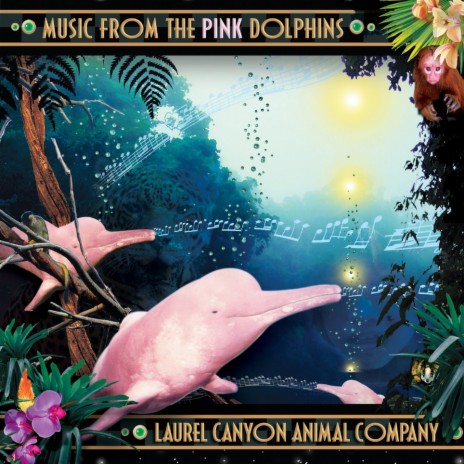 I am the Pink Dolphin