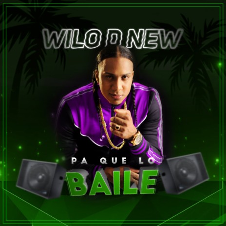 Pa Que Lo Baile | Boomplay Music