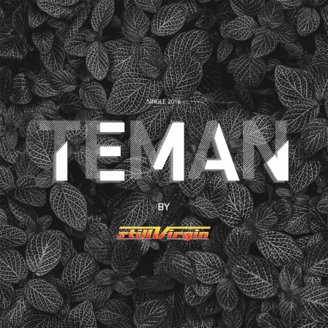 Teman | Boomplay Music