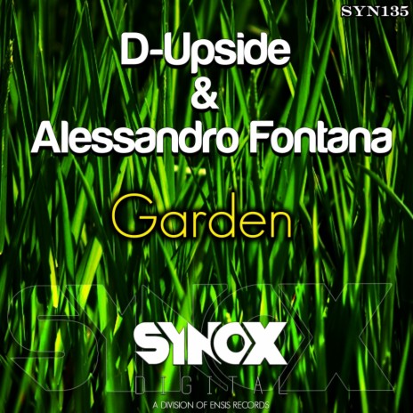 Garden (Original Mix) ft. Alessandro Fontana | Boomplay Music