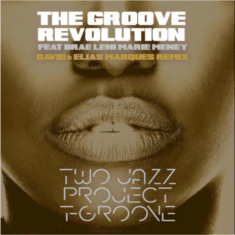 The Groove Revolution (David Marques & Elias Marques Remix) ft. T-Groove, Brae Leni & Marie Meney | Boomplay Music