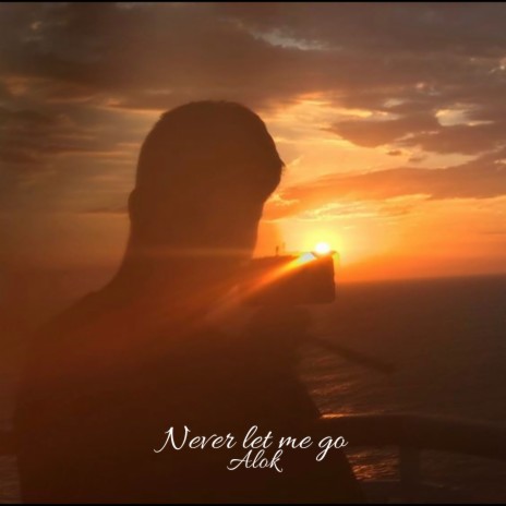 Never Let Me Go ft. Renata Odorizzi da Silva | Boomplay Music