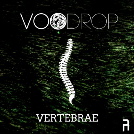 Vertebrae (Original Mix) | Boomplay Music