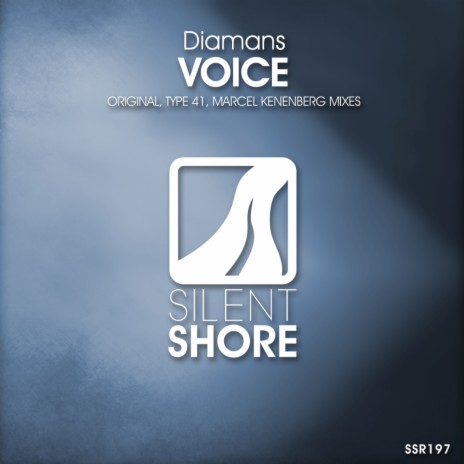 Voice (Original Mix)