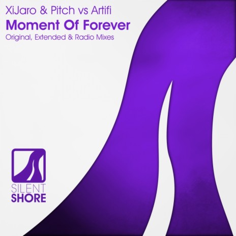 Moment Of Forever (Radio Edit) ft. Artifi | Boomplay Music