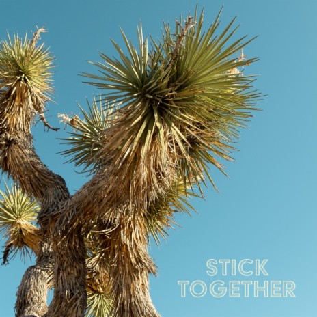 Stick Together | Boomplay Music