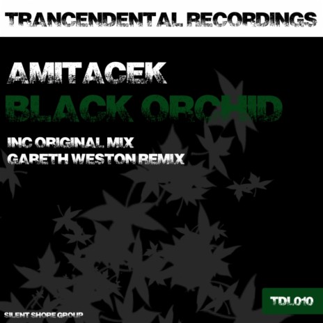 Black Orchid (Gareth Weston Remix)