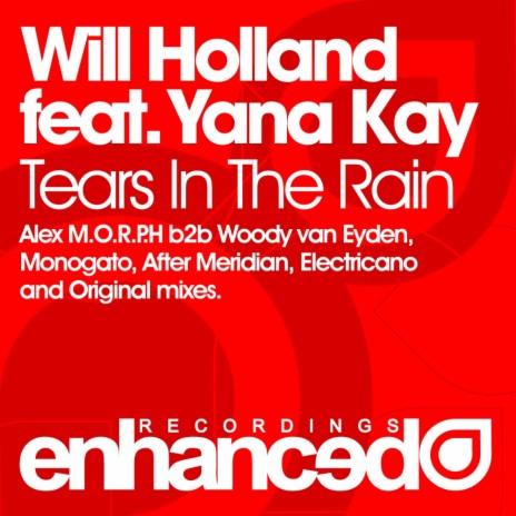 Tears In The Rain (After Merdian Remix) ft. Yana Kay