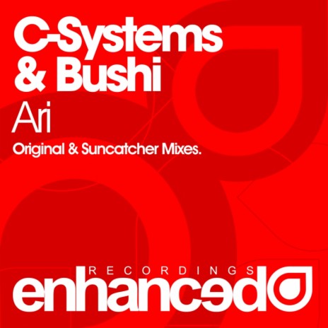 Ari (Suncatcher Remix) ft. Bushi | Boomplay Music