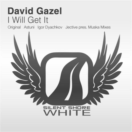 I Will Get It (Igor Dyachkov Remix) | Boomplay Music