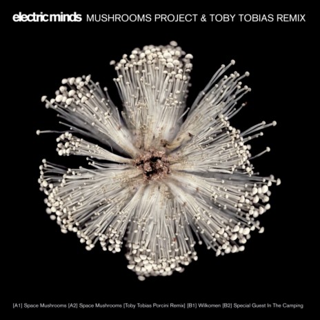 Space Mushrooms (Toby Tobias Porcini Remix)