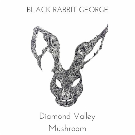 Diamond Valley Mushroom | Boomplay Music