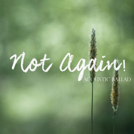 Not Again (Acoustic) | Boomplay Music