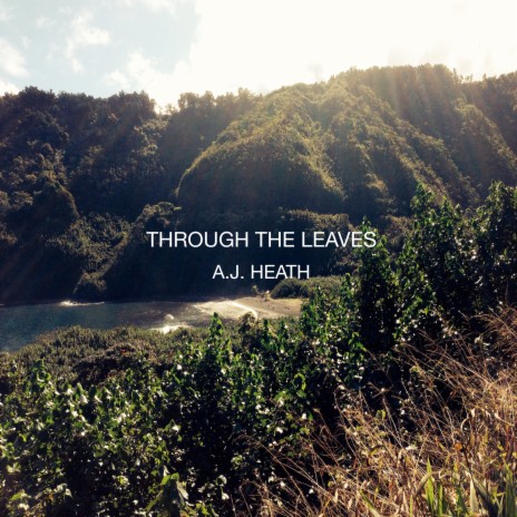 Through The Leaves | Boomplay Music