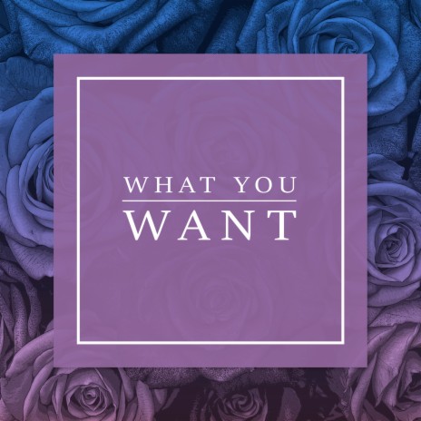 What You Want | Boomplay Music