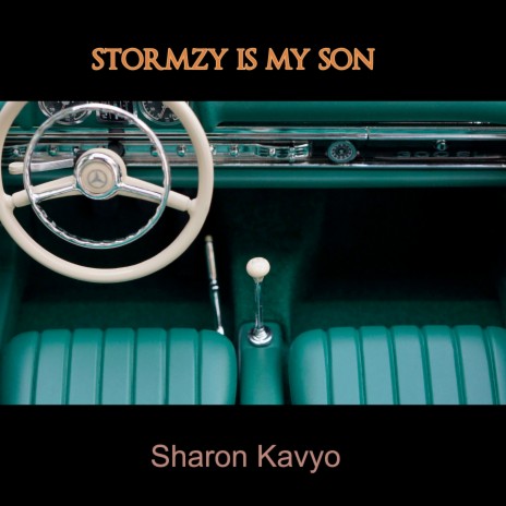Stormzy Is My Son | Boomplay Music