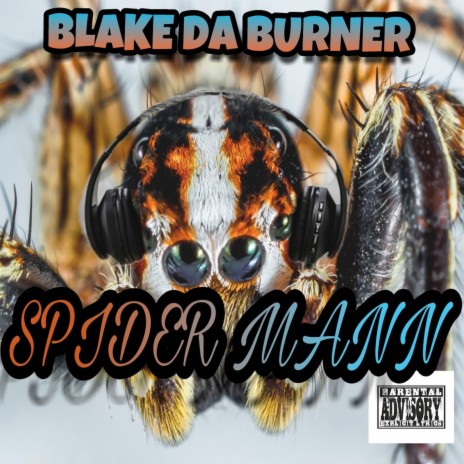 Spider Mann | Boomplay Music