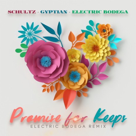 Promise For Keeps (Electric Bodega Remix) ft. Gyptian & Electric Bodega | Boomplay Music