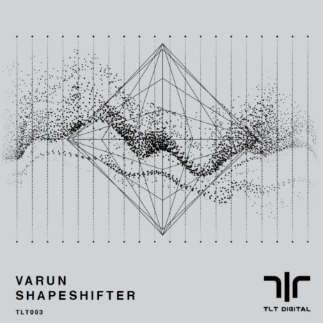 Shapeshifter (Radio Edit) | Boomplay Music