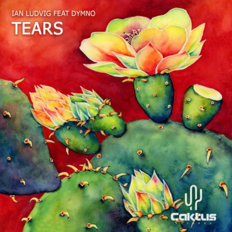 Tears (Original Mix) ft. Dymno