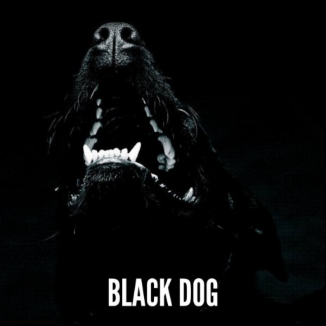 Black Dog (Original Mix)