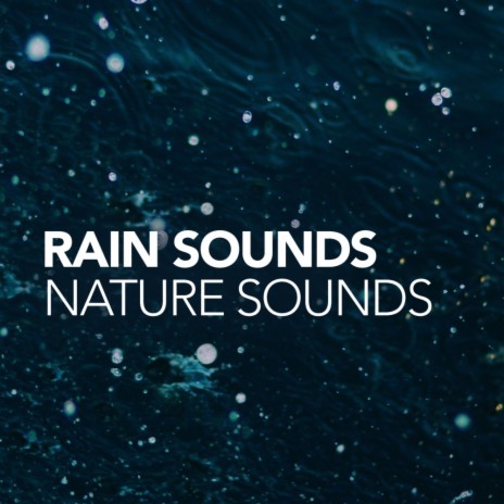 Silence Room (Original Mix) ft. Nature Sounds | Boomplay Music