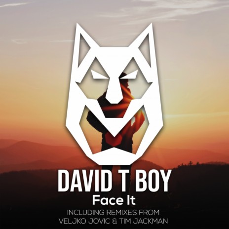 Face It (Veljko Jovic Remix)