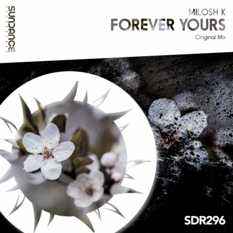 Forever Yours (Original Mix) | Boomplay Music