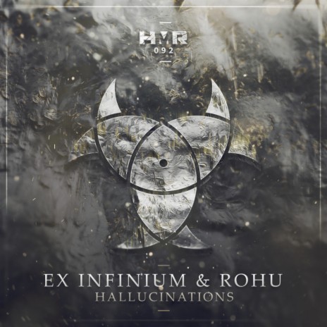 Hallucinations (Original Mix) ft. Rohu | Boomplay Music