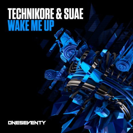 Wake Me Up (Radio Edit) ft. Suae | Boomplay Music