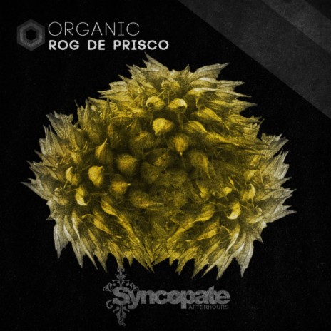 Organic (Original Mix)