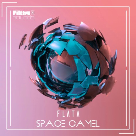 Space Camel (Original Mix) | Boomplay Music