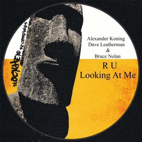 R U Looking At Me (Original Mix) ft. Dave Leatherman & Bruce Nolan | Boomplay Music