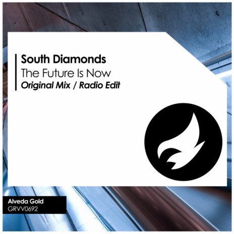 The Future Is Now (Radio Edit) | Boomplay Music