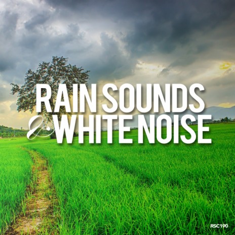 Resonate Noise (Original Mix) ft. White Noise | Boomplay Music