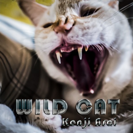 Wild Cat (Original Mix)