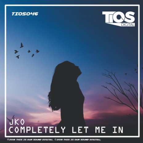 Completely Let Me In (Original Mix)