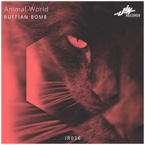 Animal World (Original Mix) | Boomplay Music