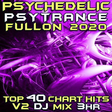The Bridge (Psychedelic Psy Trance Fullon 2020 DJ Mixed) ft. Vector Selector | Boomplay Music