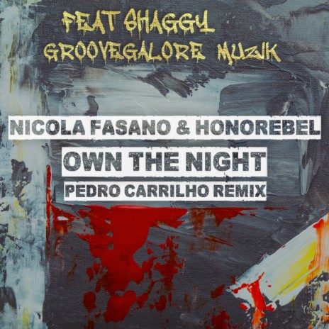 Own the Night (Pedro Carrilho Radio Mix) ft. Honorebel, Shaggy & Groovegalore Musik | Boomplay Music