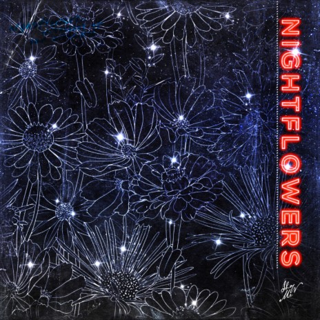 Nightflowers (Original Mix)