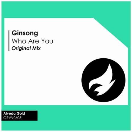 Who Are You (Original Mix) | Boomplay Music